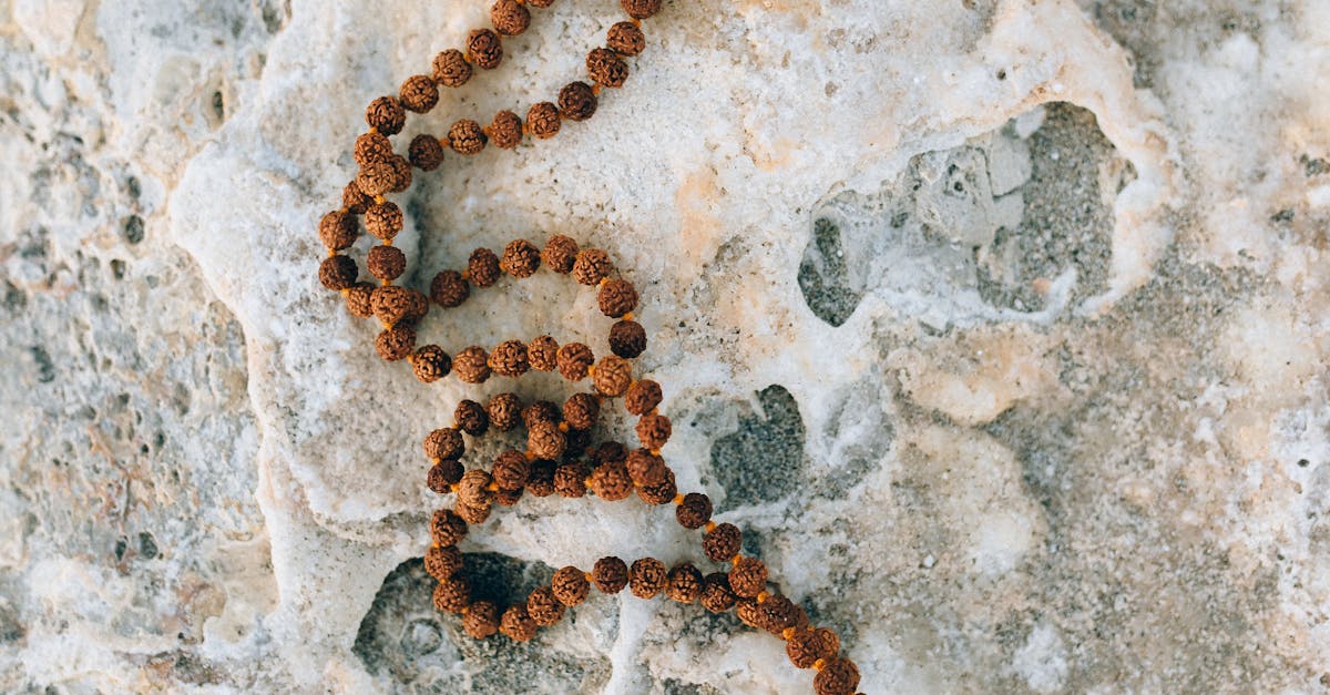 What are the five key indicators of brain health?