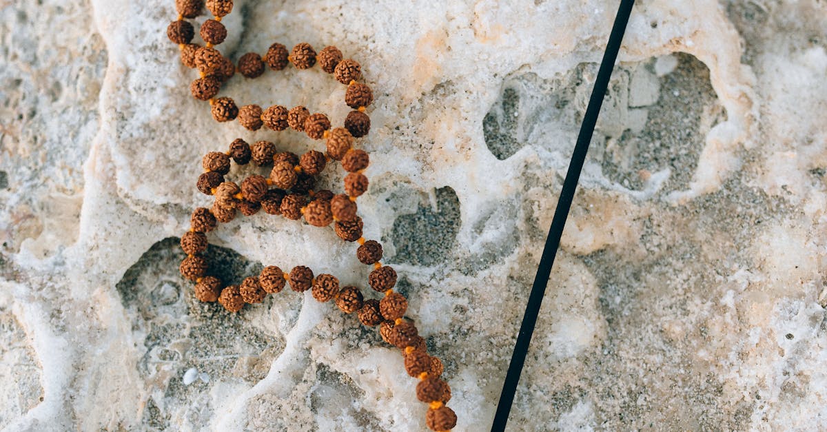 What are the three superfoods for your brain?