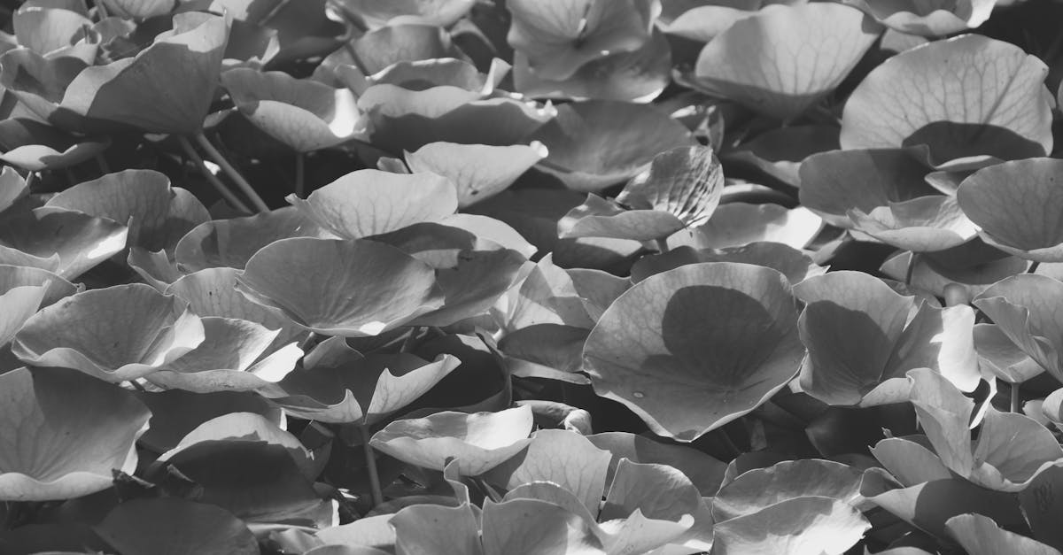 What damages the brain the most?