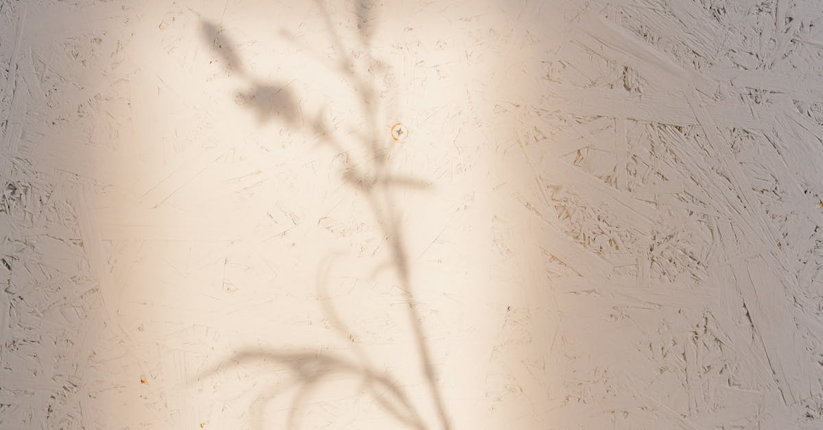 What is the best breakfast for brain health?