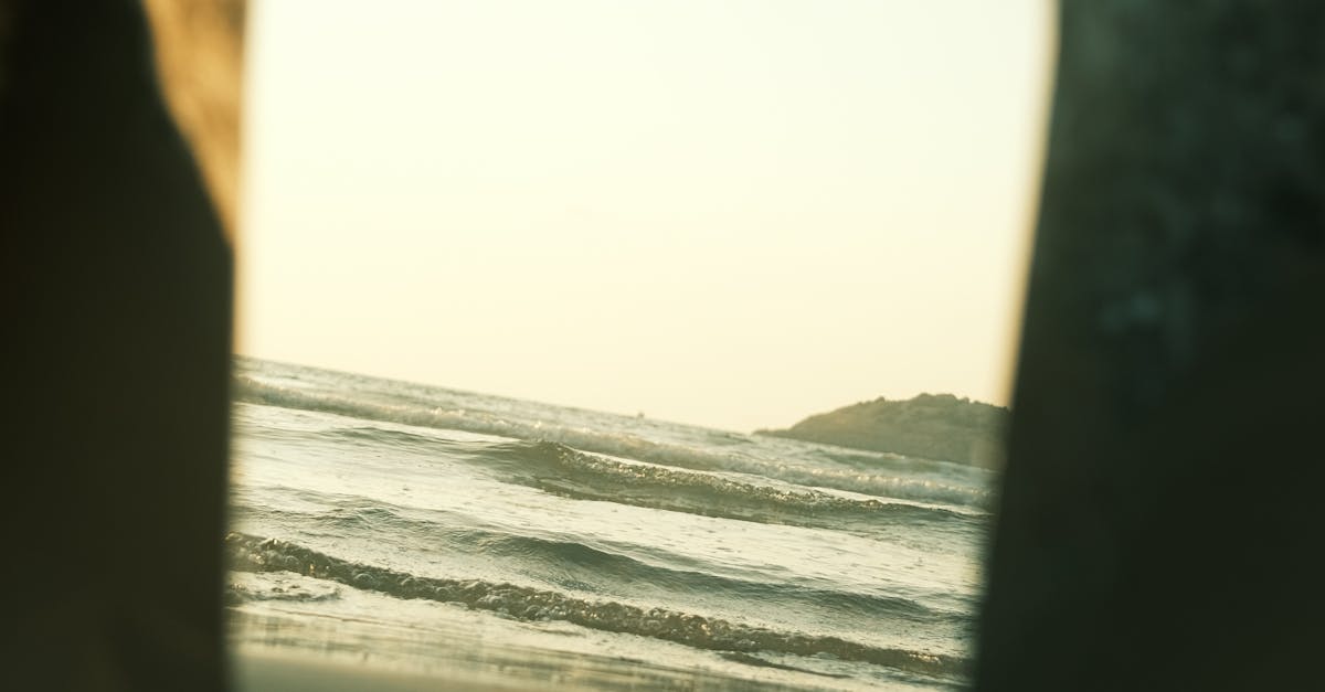 What to eat to sharpen your brain?